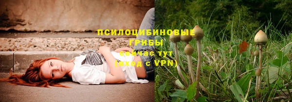 амф Пролетарск