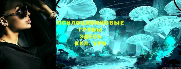 хмурый Протвино