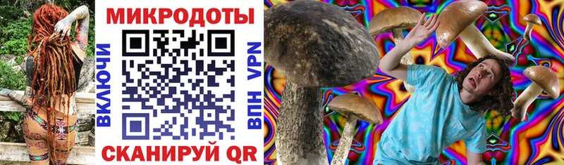 Купить где  Пикалёво  Псилоцибиновые грибы GOLDEN TEACHER 